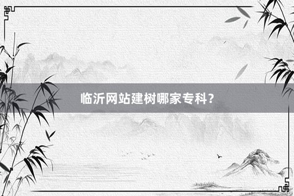 临沂网站建树哪家专科？
