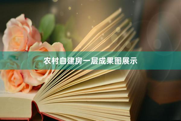 农村自建房一层成果图展示